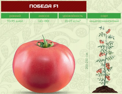 Помидоры ПОБЕДА F1