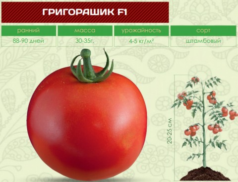 Помидоры ГРИГОРАШИК F1