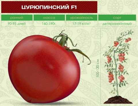Помидоры ЦУРЮПИНСКИЙ F1