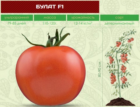 Помидоры БУЛАТ F1